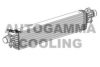 AUTOGAMMA 107547 Intercooler, charger